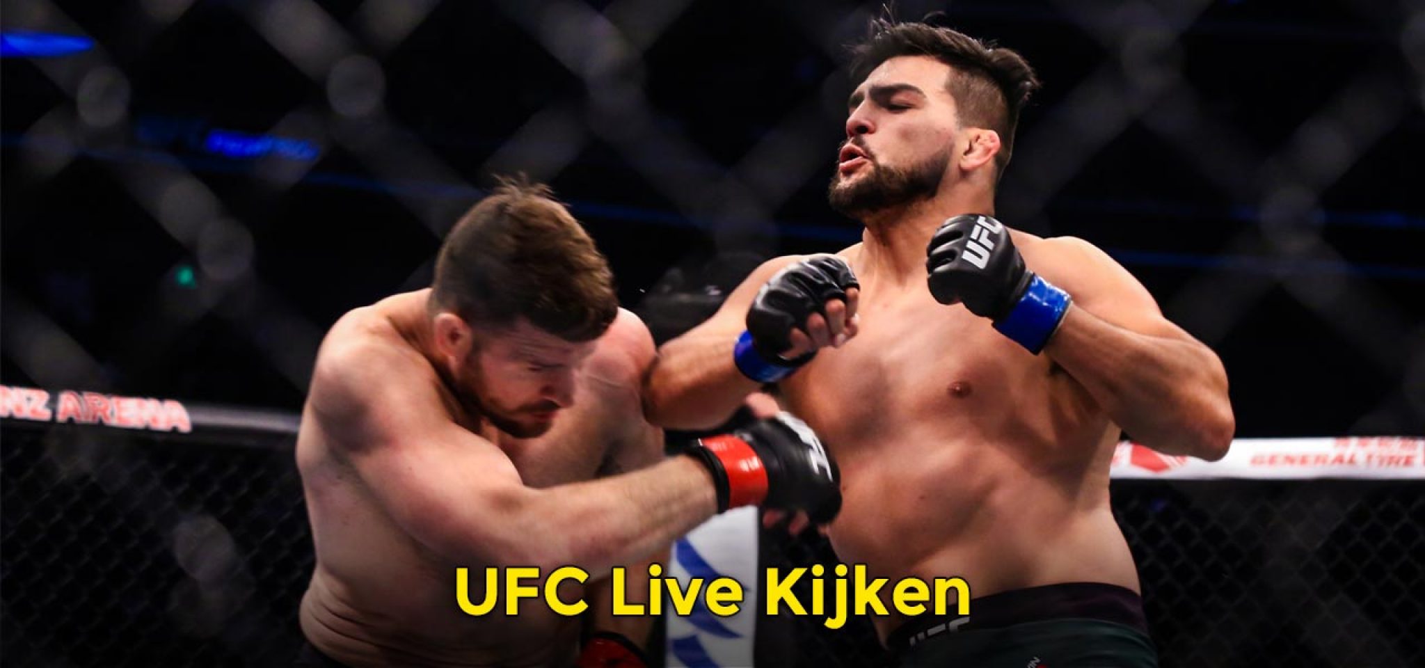 UFC livestream kijken met een VPN
